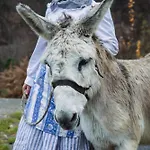 Rifugio Ca' Da Cardella Mendatica