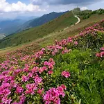 Gæstehus Rifugio Ca' Da Cardella