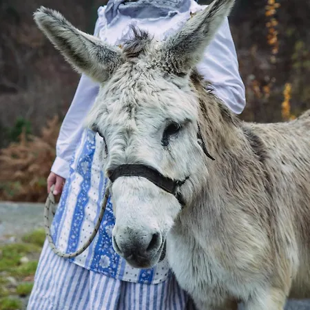 Rifugio Ca' Da Cardella Mendatica
