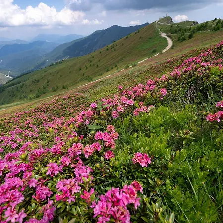 Pensión Rifugio Ca' Da Cardella